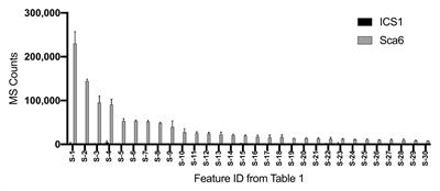 Nostalgia and Heroism: Theoretical Convergence of Memory, Motivation, and Function